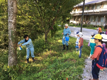 0081 バナナトラップをつかった昆虫観察会 株式会社 相愛