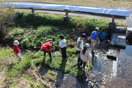 0117 【告知】わくわく里山探検in久重～2021春