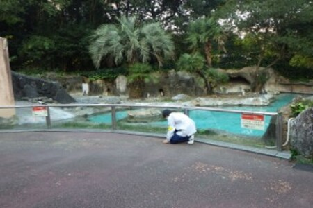 0155 高知県立のいち動物公園におけるアリ科の生息状況調査