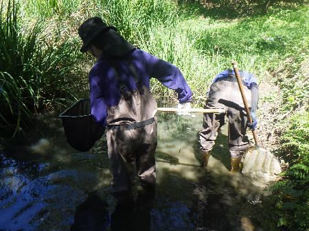 0246　自然環境調査課でインターンシップを受け入れました