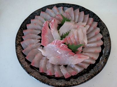 0248 晩秋のカンパチジギング